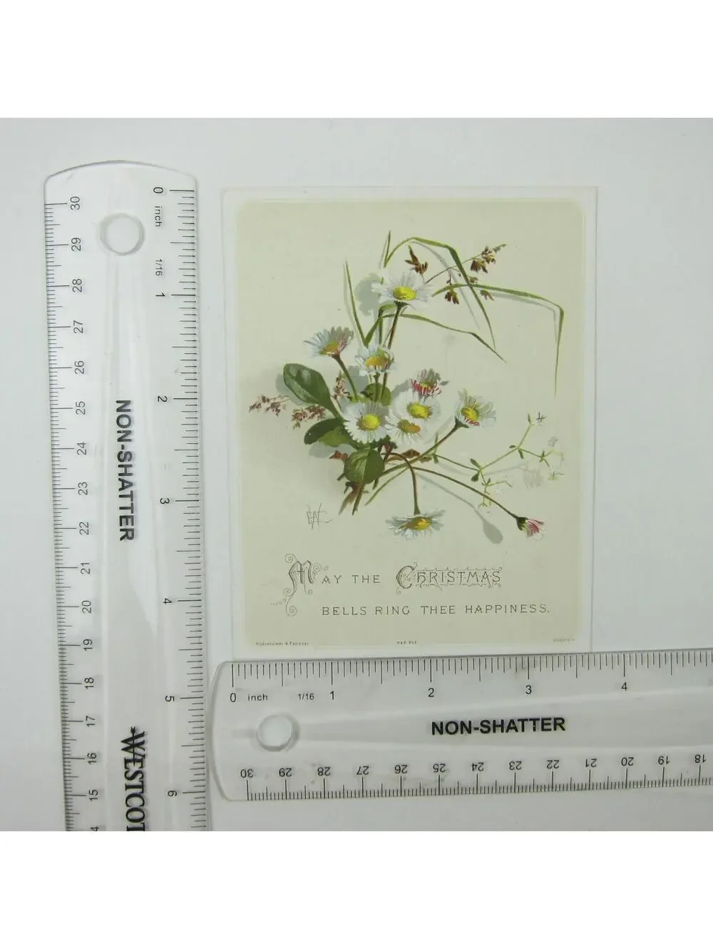Victorian Christmas Card Hildesheimer & Faulkner White Daisy Flowers Antique